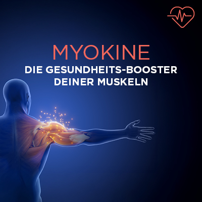 Myokine – die Gesundheits-Booster deiner Muskeln