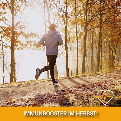 Immunbooster im Herbst