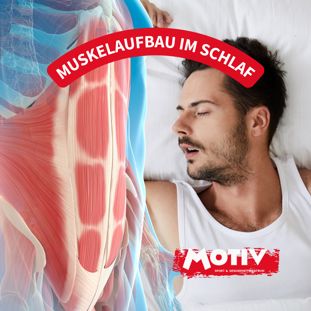 Muskelaufbau im Schlaf?